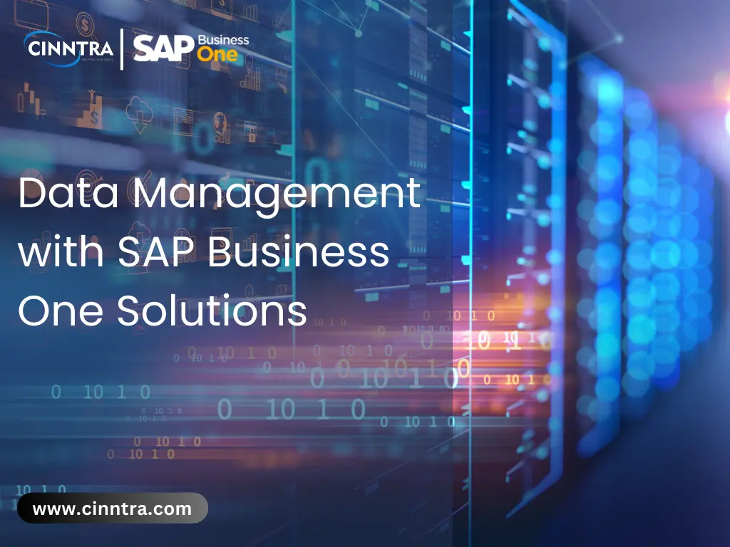  Data Management with SAP Business One Solution