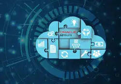 NetSuite Plugin & Connectors