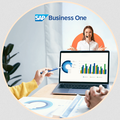 sap-b1-support