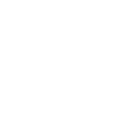 hybrid native app development