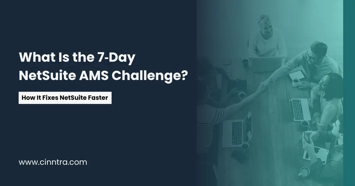 NetSuite Application Management Services