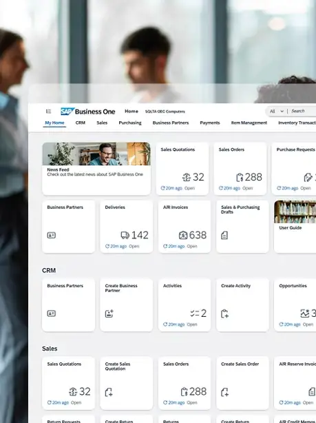 SAP Business One Price in India